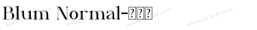 Blum Normal字体转换